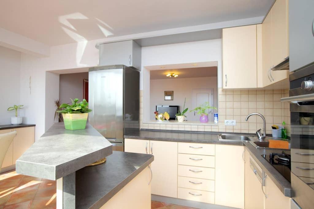 Apartment Jelka- Center Of *